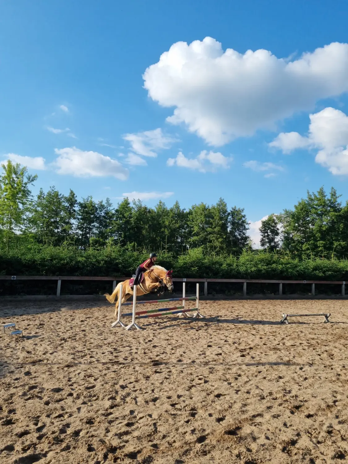 Reitunterricht von Reitstall Presber