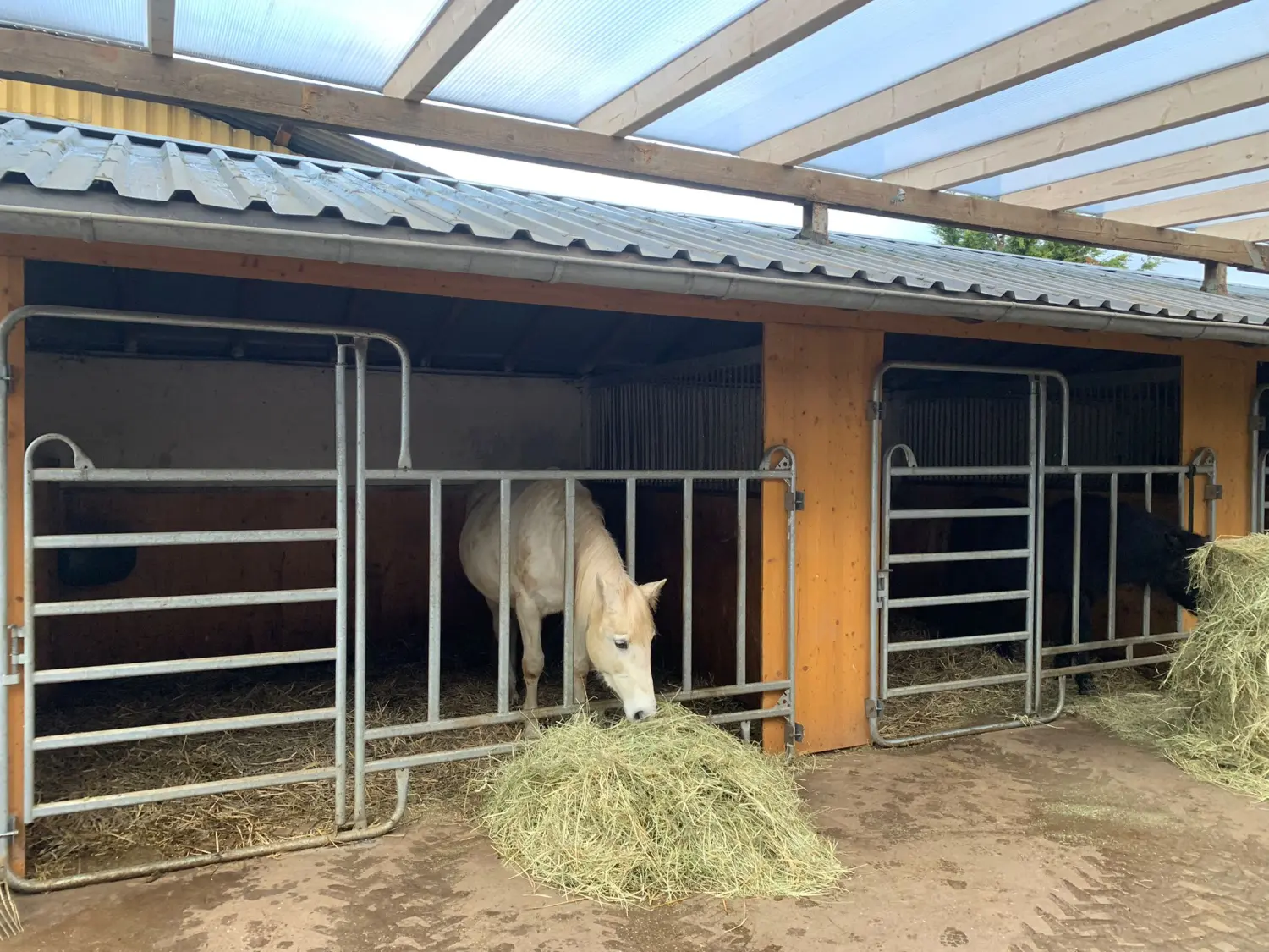 Boxen von Reitstall Presber